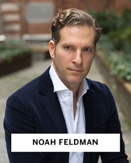 Noah Feldman, Harvard Law School
